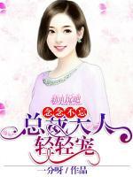 念念不忘，總裁大人輕輕寵