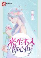來生不入你心間