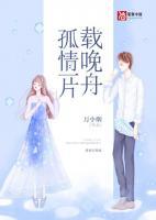 孤情一片載晚舟