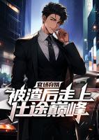 官場(chǎng)棄婿，被渣后走上仕途巔峰