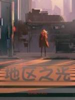 地區(qū)之光