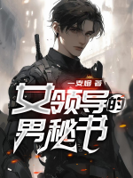 女領(lǐng)導(dǎo)的男秘書(shū)
