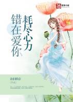錯(cuò)在愛你耗盡心力