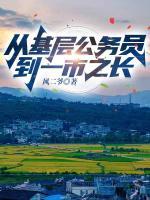 從基層公務員到一市之長