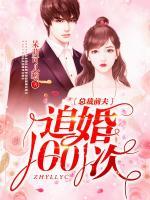 總裁前夫追婚1001次