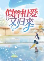似曾相愛又歸來