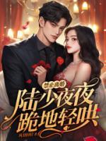 禁止離婚！陸少夜夜跪地輕哄