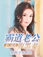 豪門盛寵：霸道老公腹黑妻