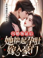 閃婚領(lǐng)證后，她揣起孕肚嫁入豪門