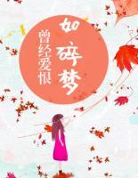 曾經(jīng)愛恨如碎夢