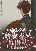 少帥霸寵，嬌妻不從也得從