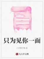 只為見(jiàn)你一面