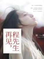 再見，程先生