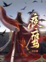夜鷹