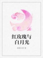 紅玫瑰與白月光
