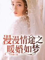 漫漫情途之暖婚如夢