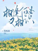 相逢何必又相識