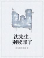 沈先生，別贖罪了