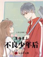 青梅愛(ài)上不良少年后