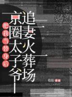 把我當(dāng)替身后，京圈太子爺追妻火葬場