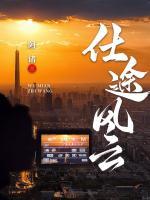 仕途風(fēng)云