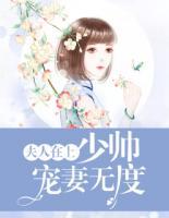 夫人在上：少帥寵妻無度
