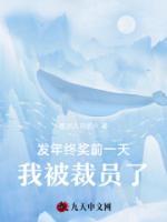 發(fā)年終獎前一天，我被裁員了
