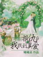 報(bào)仇后我找到了真愛