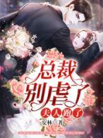 總裁別虐了，夫人跑了