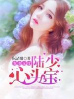 寵妻無度：陸少心頭寶