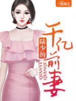 陸少的千億前妻