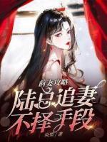 前妻攻略，陸總追妻不擇手段