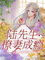 陸先生撩妻成癮