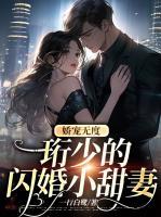 嬌寵無度，珩少的閃婚小甜妻