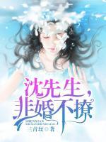 沈先生，非婚不撩