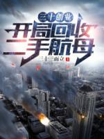 三十創(chuàng)業(yè)：開局回收二手航母
