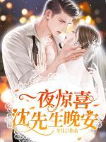 一夜驚喜：沈先生，晚安