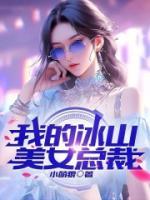 我的冰山美女總裁