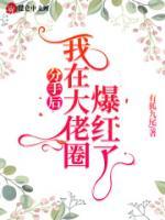 分手后，我在大佬圈爆紅了