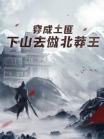 穿成土匪，下山去做北莽王