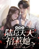 離婚后陸總天天招惹她