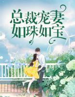 總裁寵妻如珠如寶