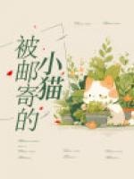 被郵寄的小貓