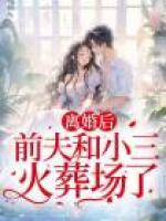 離婚后，前夫和小三火葬場了