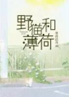 野貓和薄荷