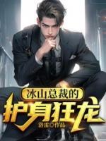 冰山總裁的護(hù)身狂龍