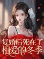 復(fù)婚后死在了相愛的冬季