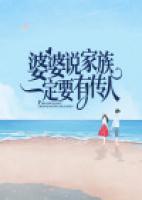 婆婆說家族一定要有傳人