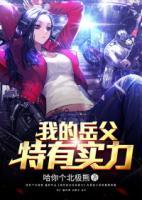我的岳父特有實力