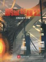 鵬城包租公